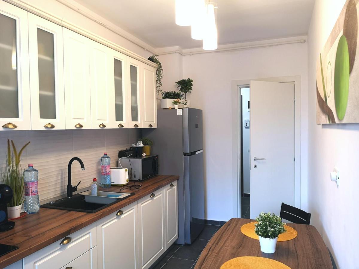 Lazo Two Room- Luxury Apartment 부쿠레슈티 외부 사진